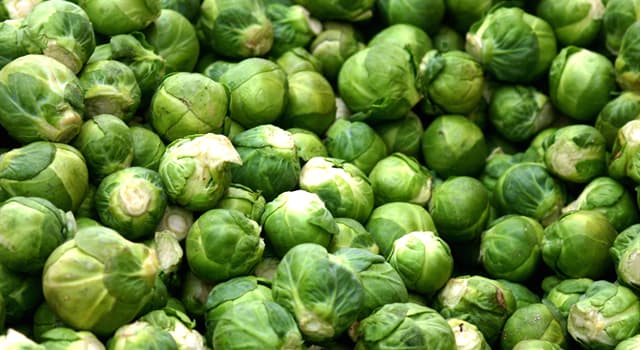 Nature Trivia Question: Where did the Brussels sprout originate?