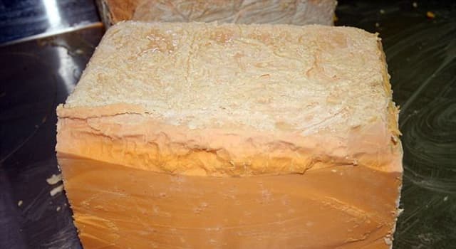 History Trivia Question: Which of these US presidents was gifted a 1,235-pound (560 kg) block of smelly Cheshire Cheese?