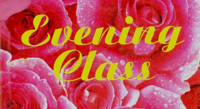 Cultuur Trivia Vraag: Wie schreef de roman 'Evening Class'?