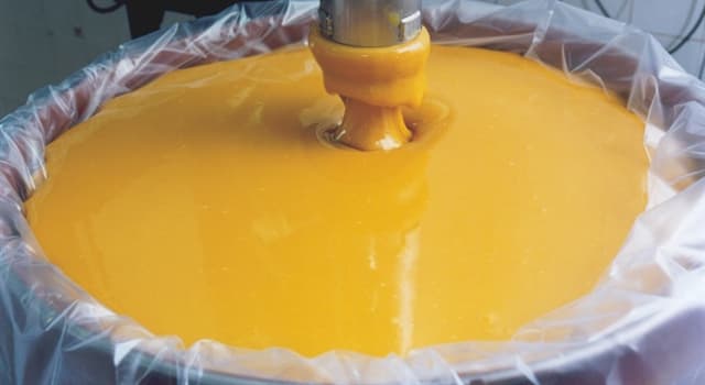 Kultur Wissensfrage: Wo wurde gefrorener konzentrierter Orangensaft entwickelt?