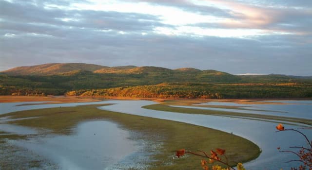 Geografía Pregunta Trivia: ¿Entre qué países discurre el río Amur?