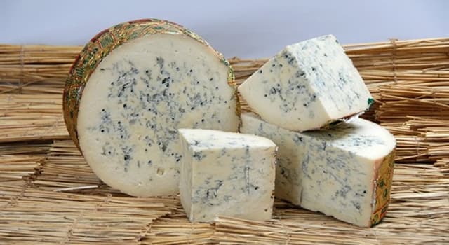 Cultuur Trivia Vraag: Gorgonzola kaas is vernoemd naar een stadje in welk land?