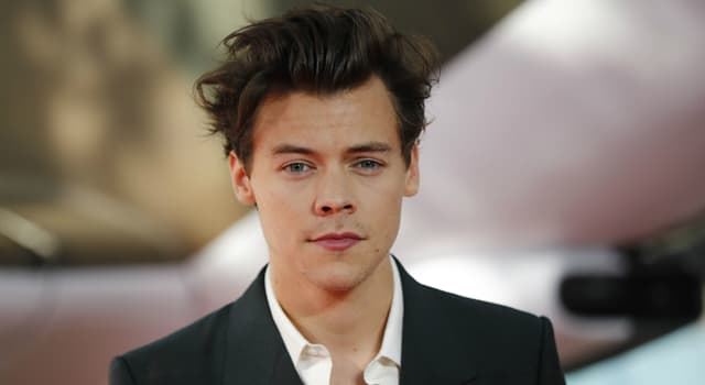 Kultura Pytanie-Ciekawostka: Harry Styles był członkiem której grupy?