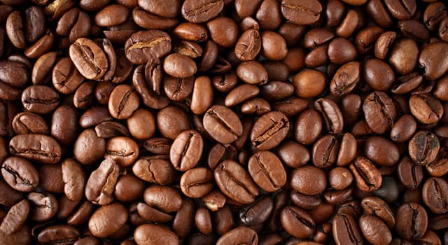 Nature Question: Le fruit mou à partir duquel on obtient un grain de café est communément connu sous quel nom ?