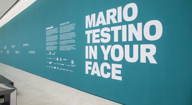Culture Question: Mario Testino est un nom célèbre dans quel domaine des arts ?