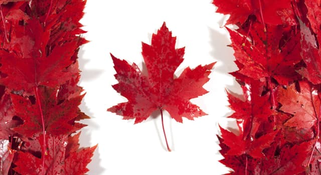Géographie Question: Quelle capitale provinciale canadienne est surnommée la " Petite Angleterre " ?