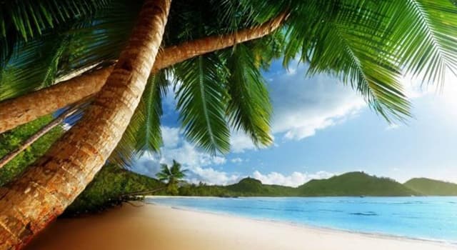 Géographie Question: Quelle est la plus grande île de la mer des Caraïbes par sa superficie ?