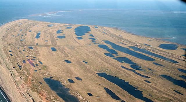 地理 小問題：蘇厄德半島（Seward Peninsula）位於美國的哪個州？