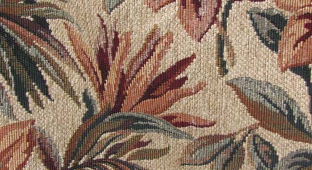 Culture Trivia Question: The fabric, Chenille, shares its name with the French for which animal?
