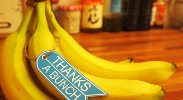 Natuur Trivia Vraag: Wat is de vakterm voor een tros bananen?