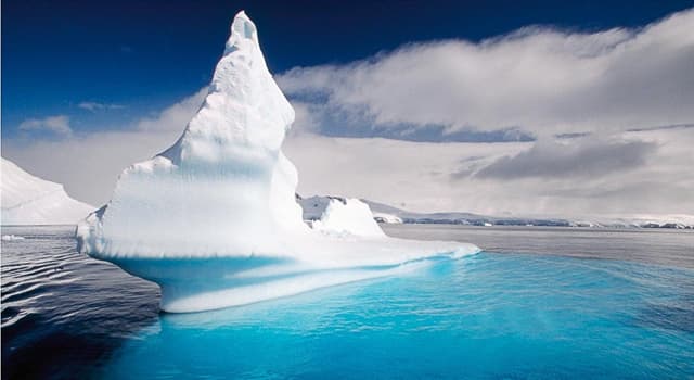 Geschiedenis Trivia Vraag: Welke interessante soorten zijn in 1982 gevonden op Seymour Island in Antarctica?