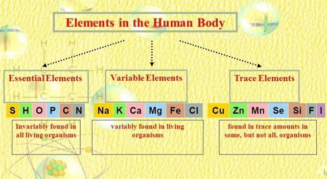 Science Trivia Question: Which element accounts for approximately 65% mass of the human body?