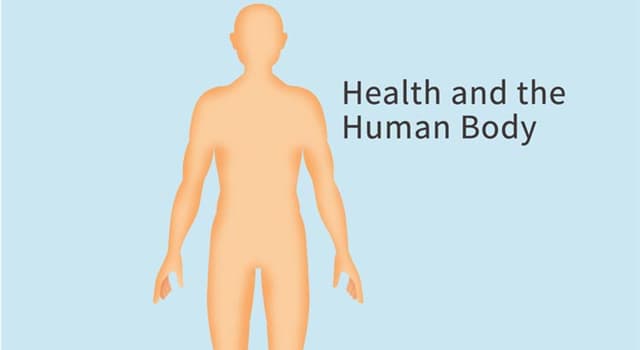 과학 상식 퀴즈: 반월상연골이란 무엇인가?