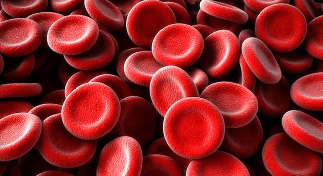 Science Trivia Question: What is the function of blood?
