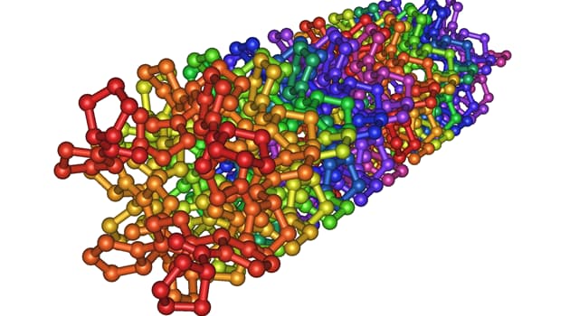 科學 小問題：骨骼、肌腱和皮膚的結構蛋白是什麼?