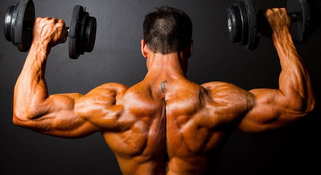 Sport Trivia Question: What is the use of resistance exercise to develop musculature for aesthetic purposes called?