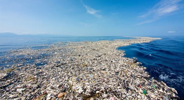 Geography Trivia Question: Where is the Great Pacific Garbage Patch located?