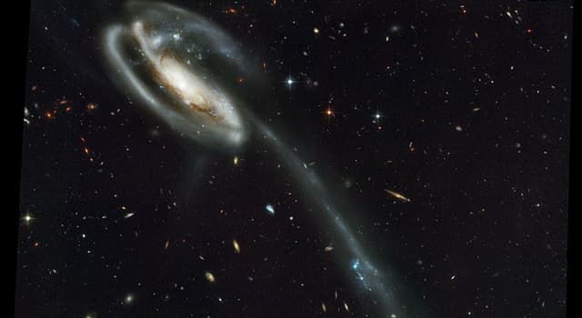 Science Trivia Question: Which galaxy is pictured below?