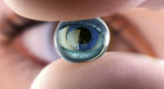 Wetenschap Trivia Vraag: Wie kwam al lang geleden op het idee voor contactlenzen?