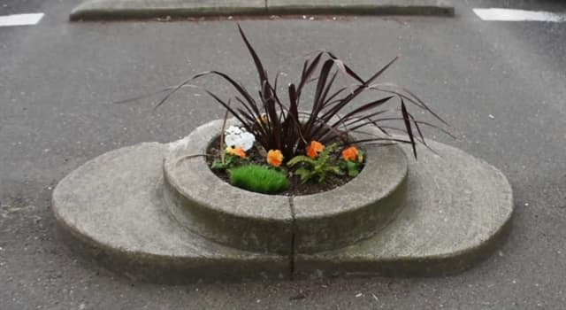 Culture Trivia Question: According to 'The Guinness Book of World Records' where is the world's smallest park located?