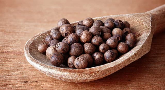 Nature Trivia Question: Allspice is also known by which name?