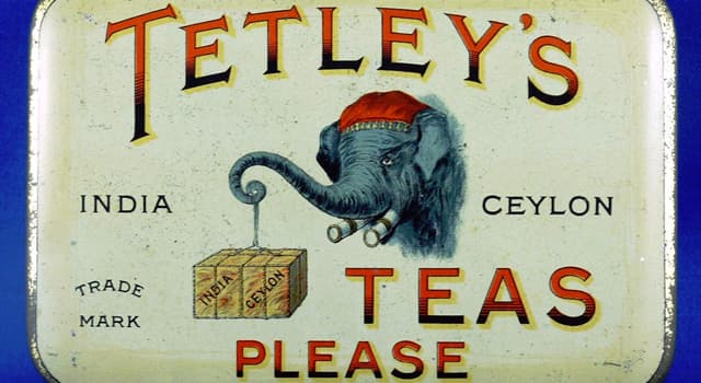 Society Trivia Question: As of 2019, which company owns Tetley Beverage Company?