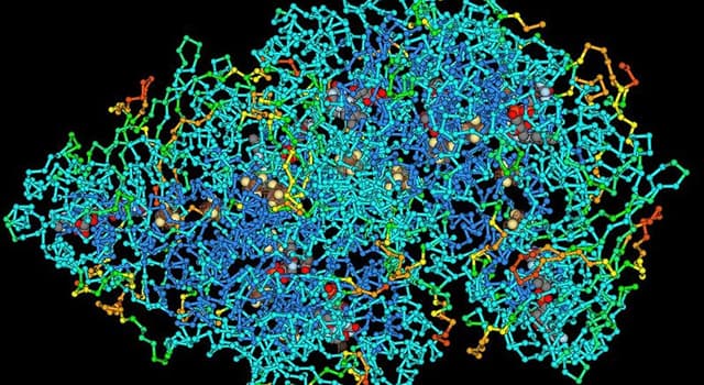 Wetenschap Trivia Vraag: Een macromolecuul bestaat meestal uit hoeveel atomen?