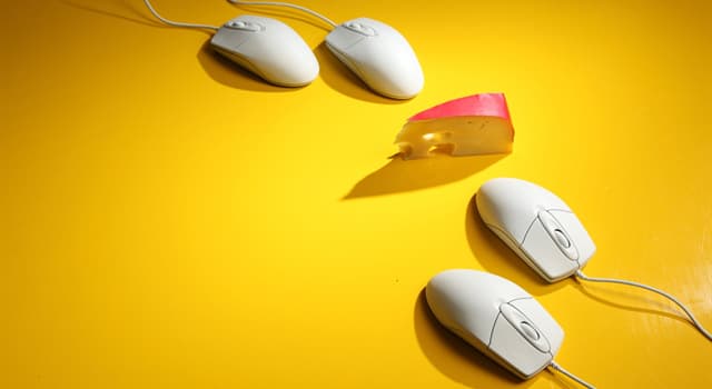 History Trivia Question: In which year did Douglas Car Engelbart receive a patent for a computer mouse?