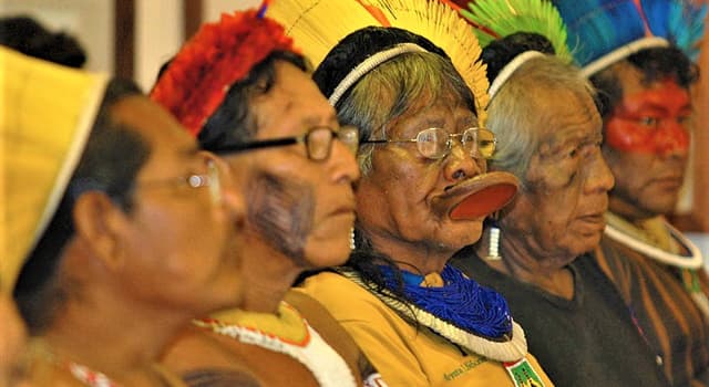 História Pergunta Trivial: Quantas famílias possuem os dois troncos linguísticos indígena do Brasil, o Macro-Jê e o Tupi?