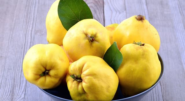 Nature Question: Quel fruit est représenté sur l'image ?