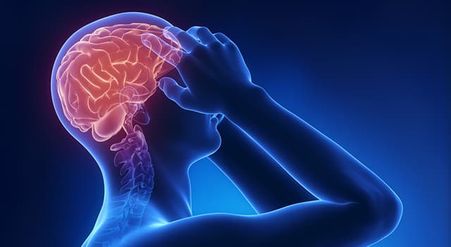 Сiencia Pregunta Trivia: ¿Cuál de las siguientes es una inflamación de las meninges?