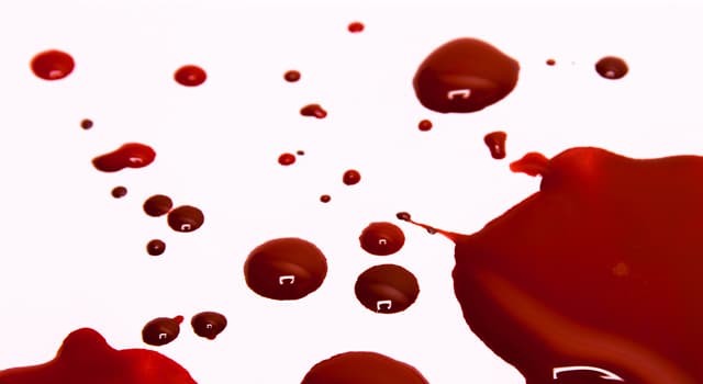Movies & TV Trivia Question: What is one of the terms used to describe theatrical blood?