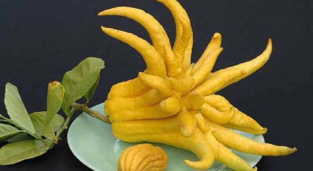 Nature Trivia Question: What is the name of this fruit?