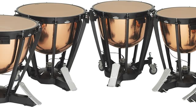 Culture Trivia Question: What type of percussion instrument are these?