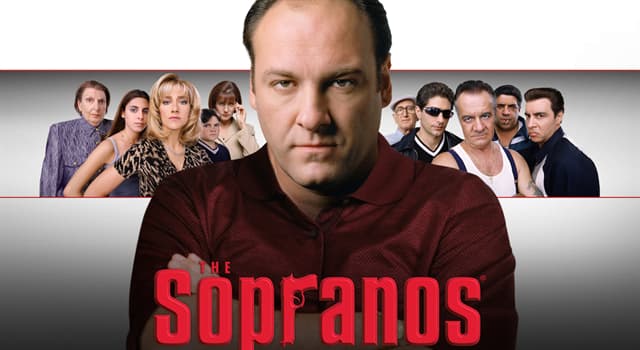 Movies & TV Trivia Question: What was the main setting of the TV series the 'Sopranos'?
