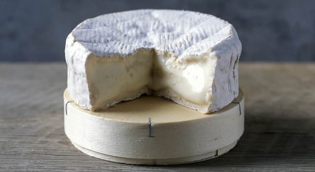 Culture Trivia Question: Where does camembert cheese originate?
