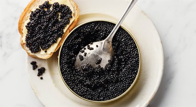 Nature Trivia Question: Where is Beluga caviar primarily harvested?