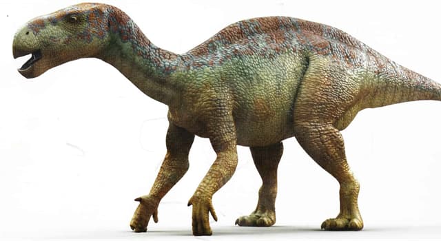 Nature Trivia Question: Which dinosaur is pictured below?