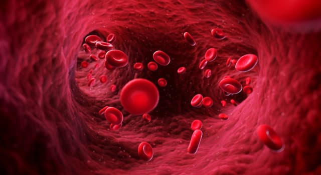 Сiencia Pregunta Trivia: ¿Cómo se llama el proceso de formación de las células de la sangre?