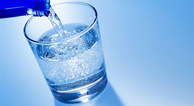 Science Trivia Question: Which person accidentally invented carbonated water?