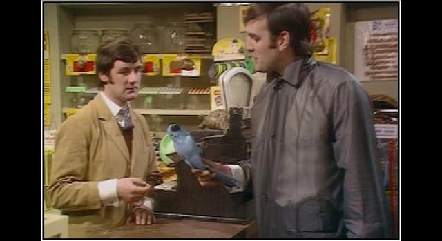 Movies & TV Trivia Question: Which two Monty Python comedians performed the infamous 'Dead Parrot' Sketch?