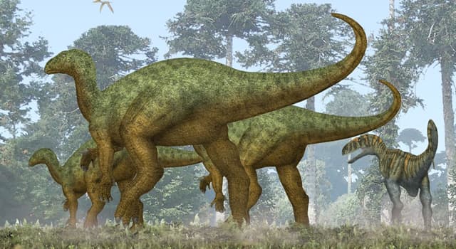 Science Trivia Question: Which type of dinosaur was the second type to be formally named based on fossil specimens?