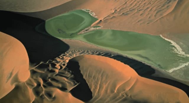 Natur Wissensfrage: Wieviel Flüsse gibt es in Saudi-Arabien?