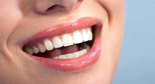 Science Trivia Question: With reference to dental health, what is bruxism?