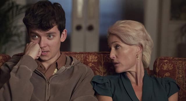 Movies & TV Trivia Question: Asa Butterfield and Gillian Anderson co-star in which British TV series?