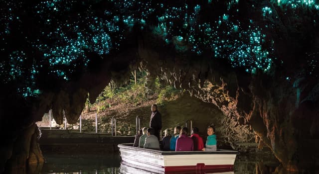 Geography Trivia Question: In which country are the Waitomo Glowworm Caves located?