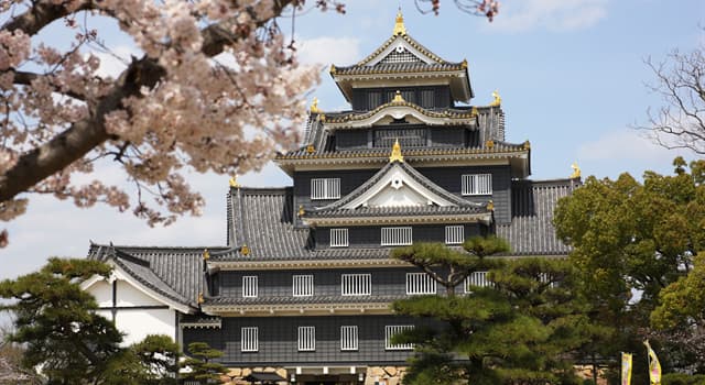 Culture Trivia Question: In which Japanese city is the Imperial Palace located?