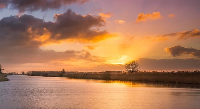 문화 상식 퀴즈: 네덜란드의 킨더디지크(Kinderdijk) 마을은 무엇으로 유명한 관광지일까요?