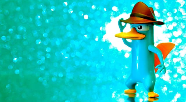 Movies & TV Trivia Question: Perry the Platypus is a character from which American animated comedy television series?