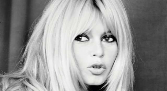 Films & TV Trivia Vraag: Waarmee houdt Brigitte Bardot zich momenteel vooral bezig?